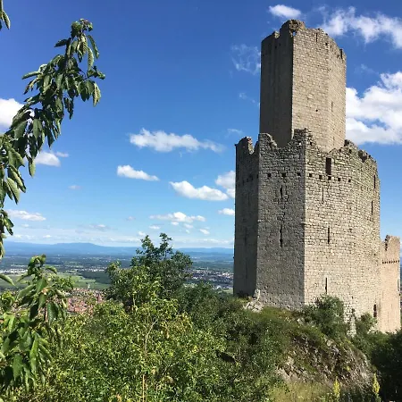 Appartement Au Nid De Cigogne