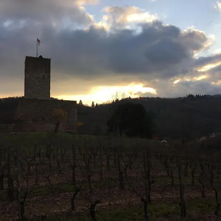 Διαμέρισμα Au Nid De Cigogne