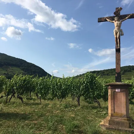 Appartement Au Nid De Cigogne Zellenberg