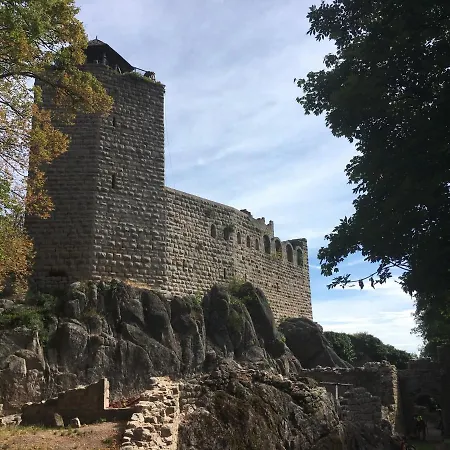 Appartement Au Nid De Cigogne *