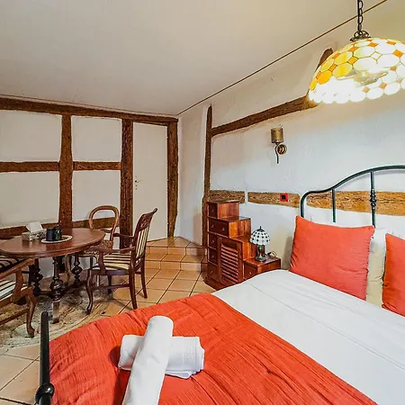 Au Nid De Cigogne Zellenberg