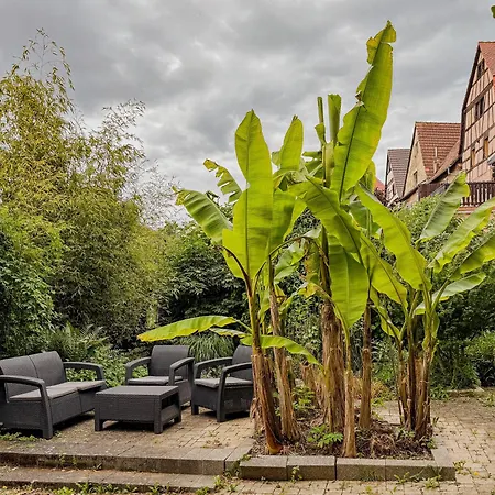 Appartement Au Nid De Cigogne