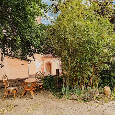 Au Nid De Cigogne Appartement Zellenberg